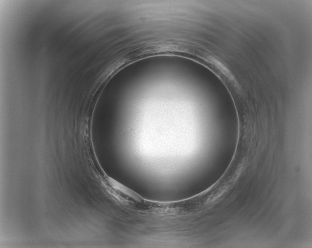 X0000071350793200606301651