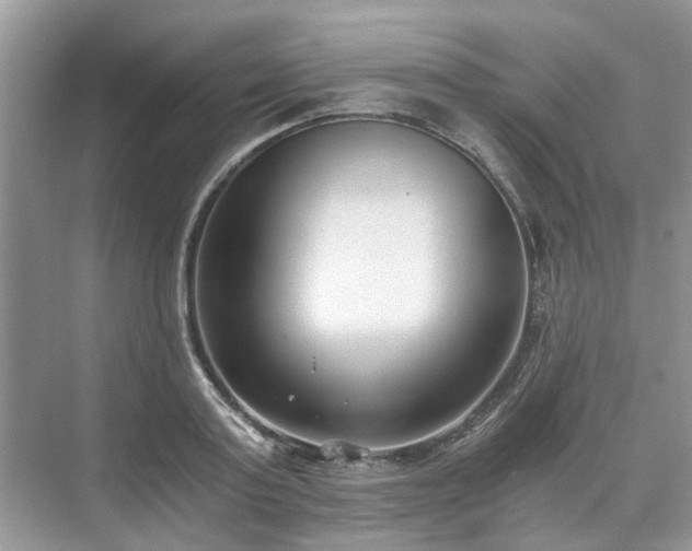 X0000071350795200606301651