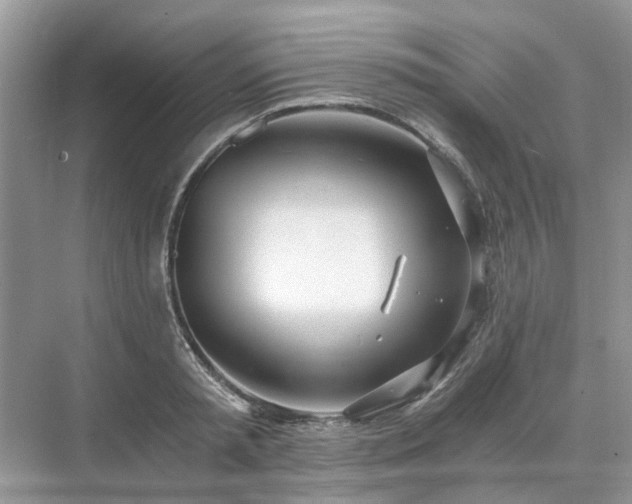 X0000071350797200606301651