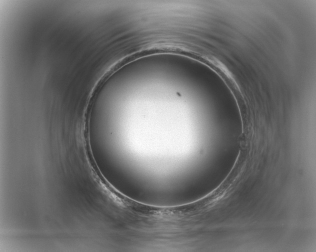 X0000071350799200606301651