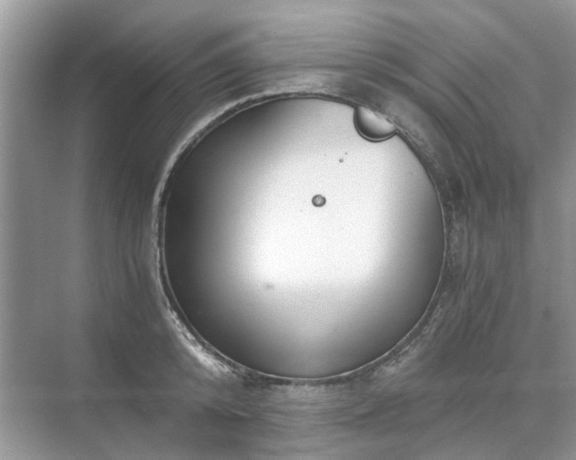 X0000071350800200606301651