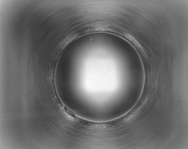 X0000071350801200606301651