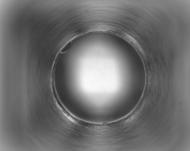 X0000071350802200606301651