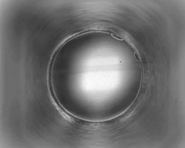 X0000071350803200606301651