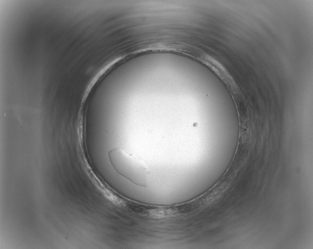 X0000071350804200606301651