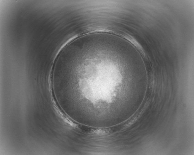 X0000071350806200606301651