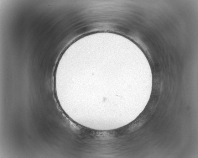 X0000071350807200606301651