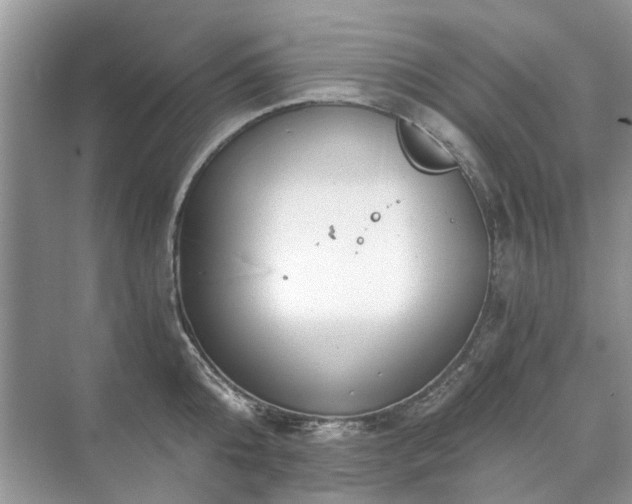 X0000071350808200606301651