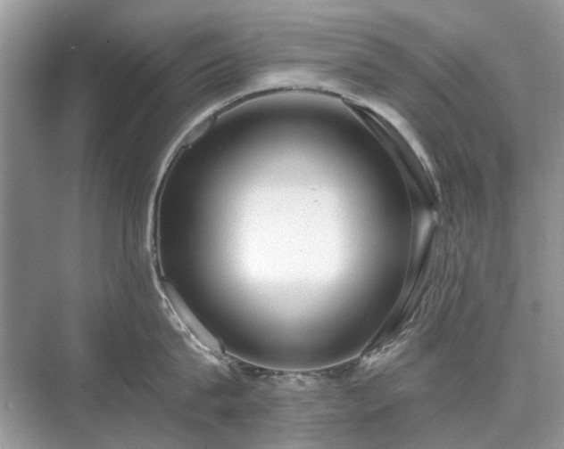 X0000071350815200606301650