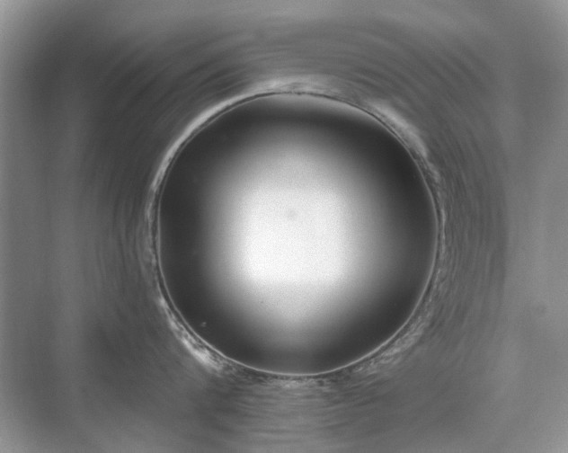 X0000071350816200606301650