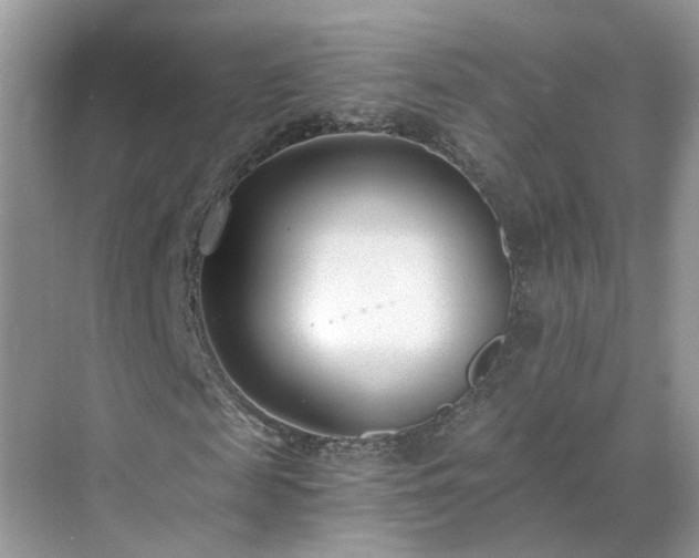 X0000071350817200606301650