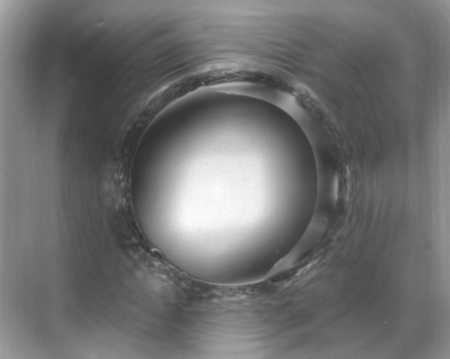 X0000071350822200606301650