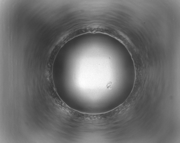 X0000071350823200606301650