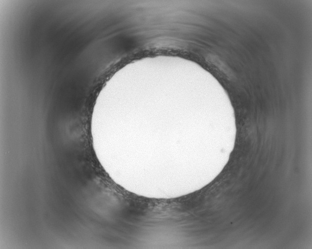 X0000071350824200606301650