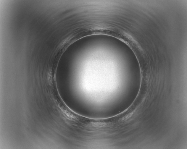 X0000071350825200606301650