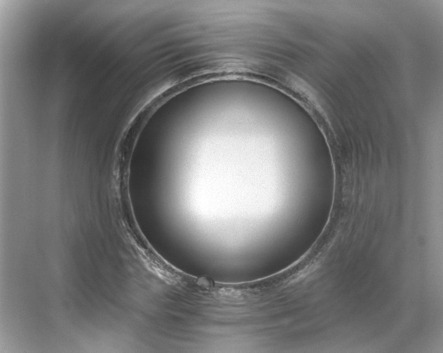 X0000071350827200606301650