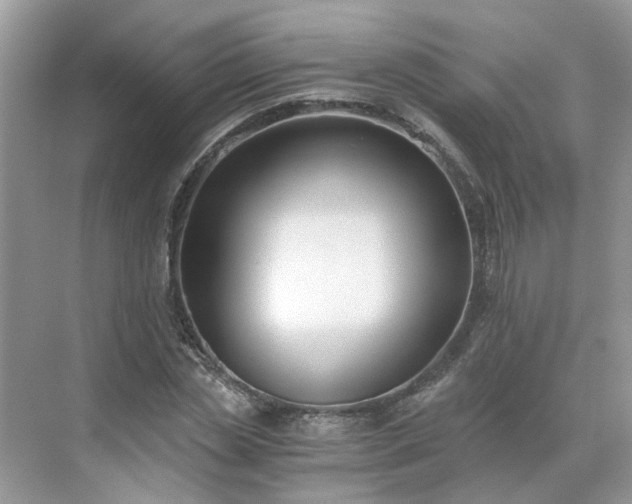 X0000071350829200606301650