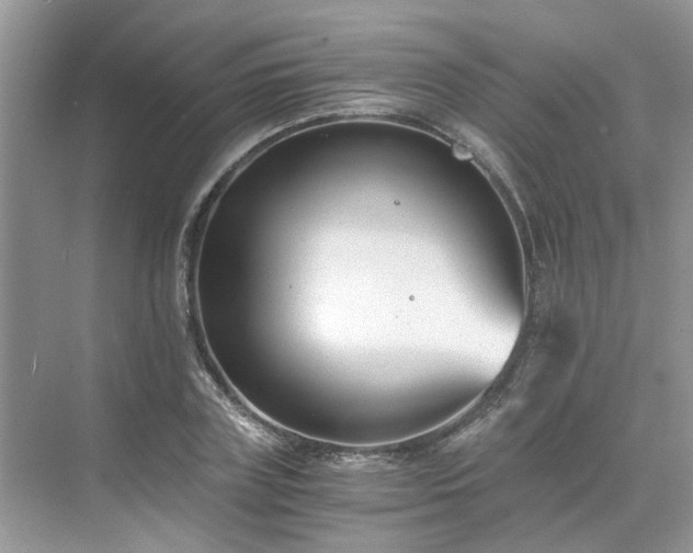 X0000071350835200606301650