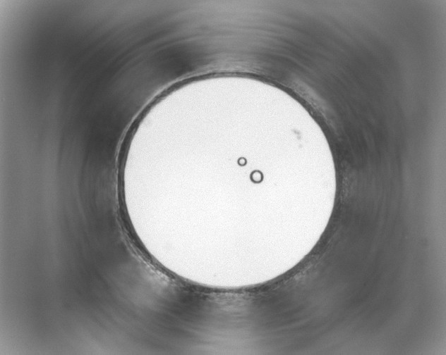 X0000071350836200606301650