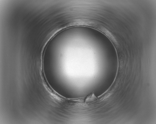 X0000071350844200606301650