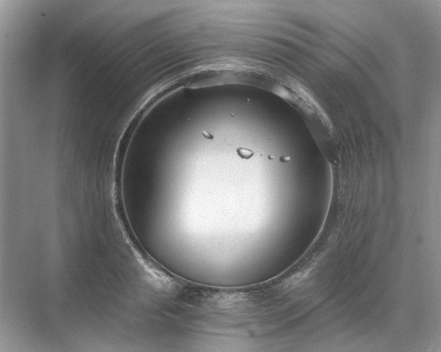 X0000071350845200606301650