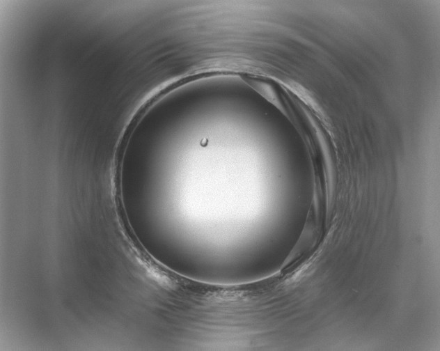 X0000071350846200606301650