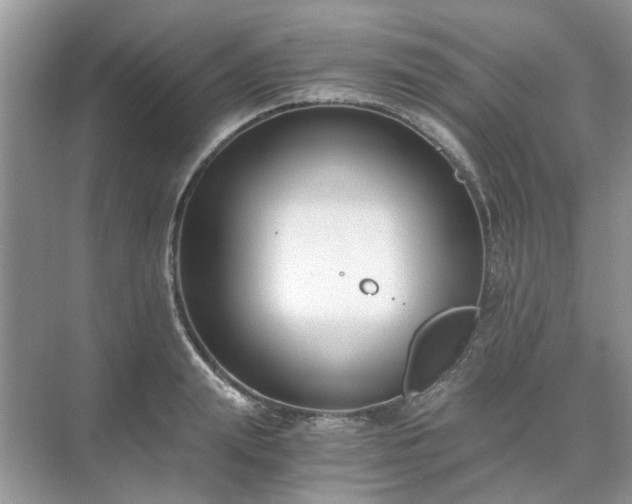 X0000071350847200606301650