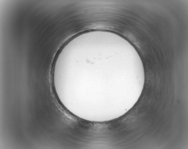 X0000071350848200606301650