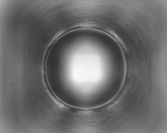 X0000071350853200606301650