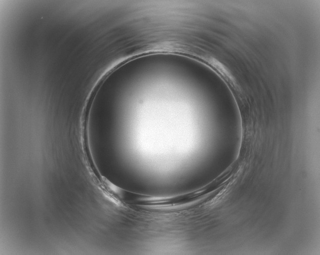 X0000071350854200606301650