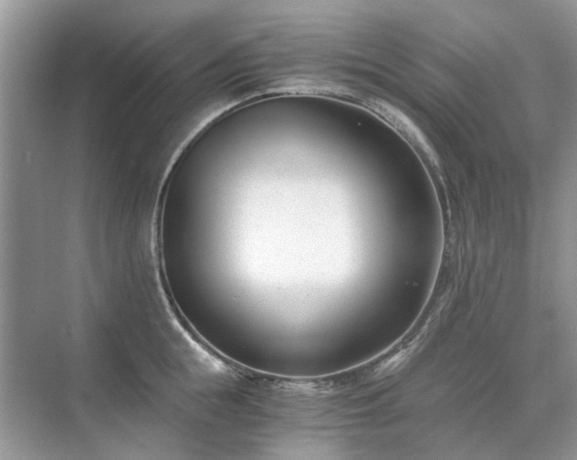 X0000071350855200606301650