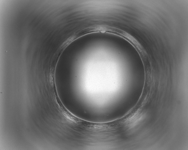 X0000071350857200606301650