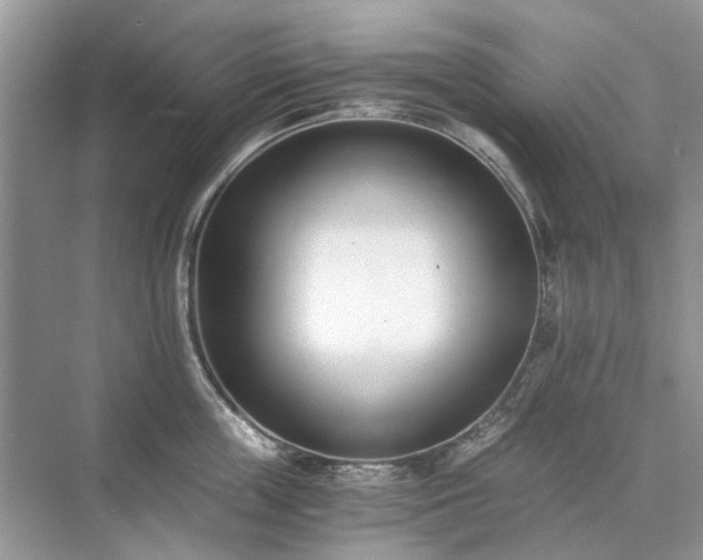 X0000071350859200606301650