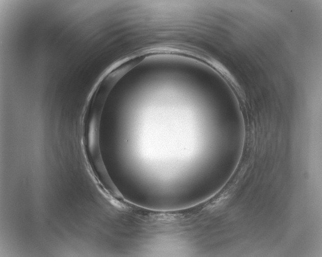 X0000071350862200606301650