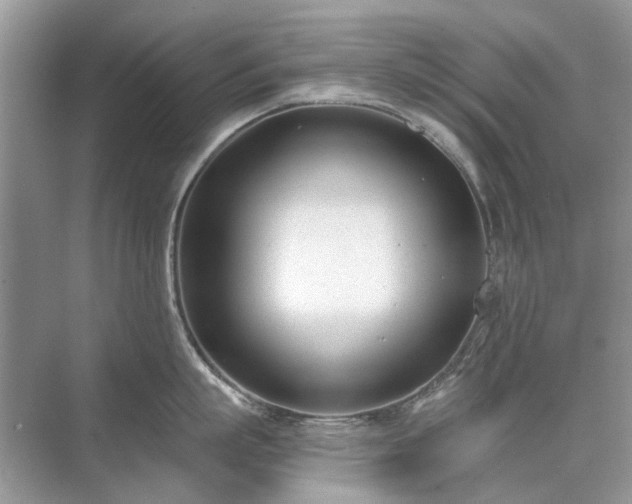 X0000071350863200606301650