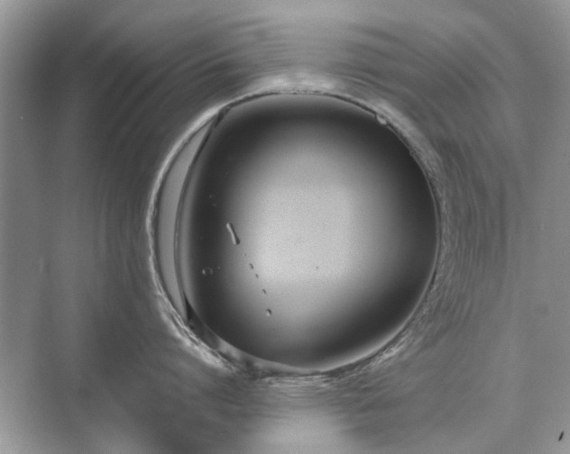 X0000071350864200606301650