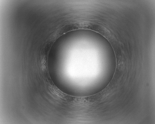 X0000071350866200606301650