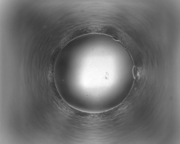 X0000071350867200606301650