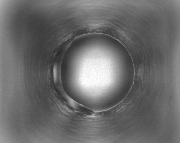 X0000071350868200606301650