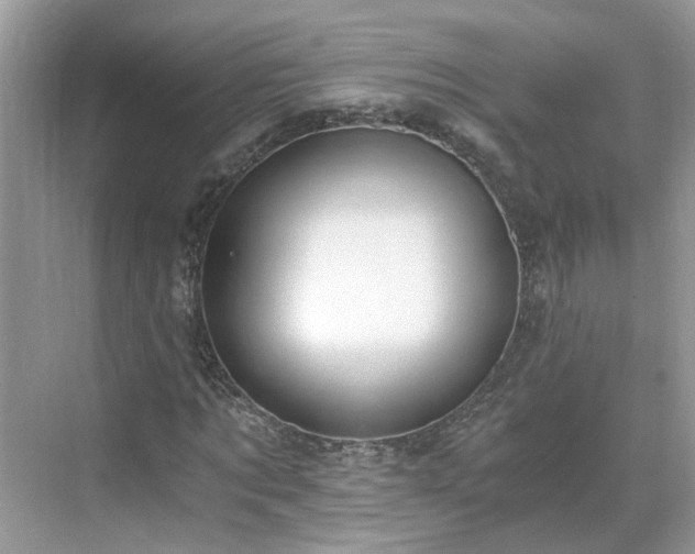 X0000071350869200606301650