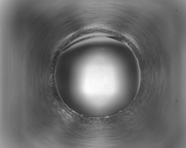 X0000071350872200606301650