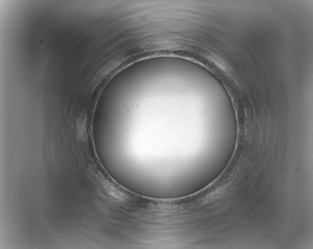 X0000071350873200606301649