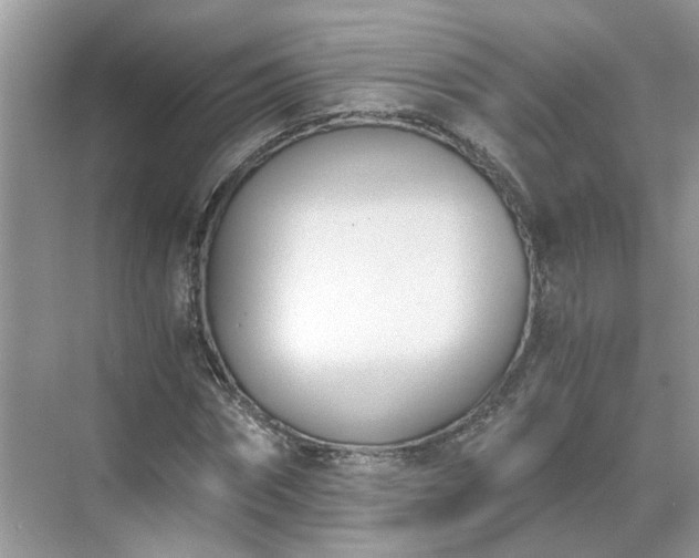 X0000071350874200606301649