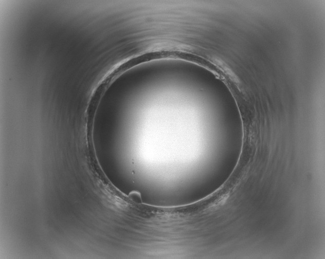 X0000071350877200606301649