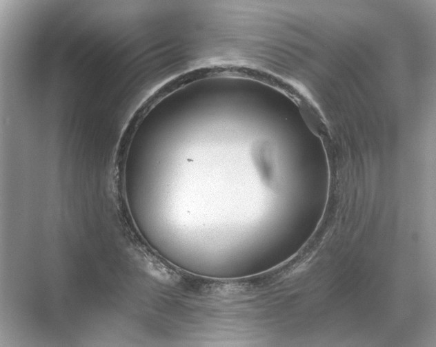 X0000071350879200606301649