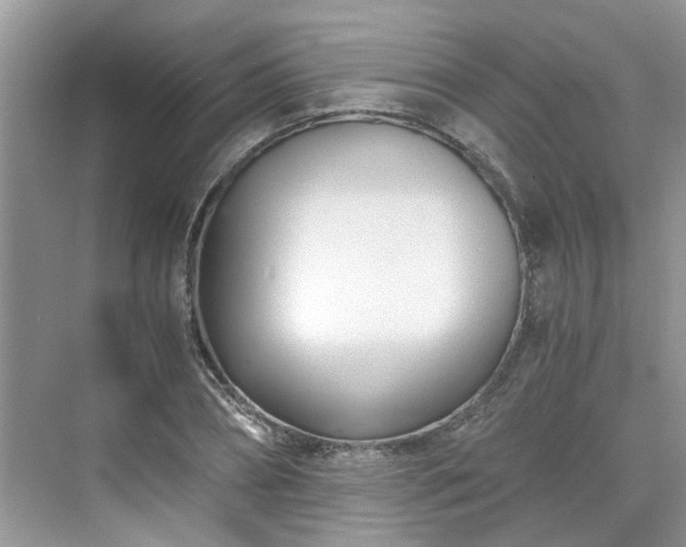 X0000071350882200606301649