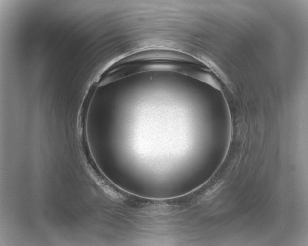 X0000071350885200606301649