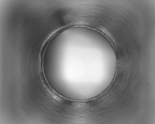 X0000071350886200606301649