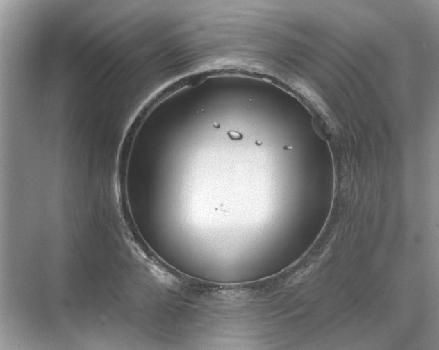 X0000071350888200606301649