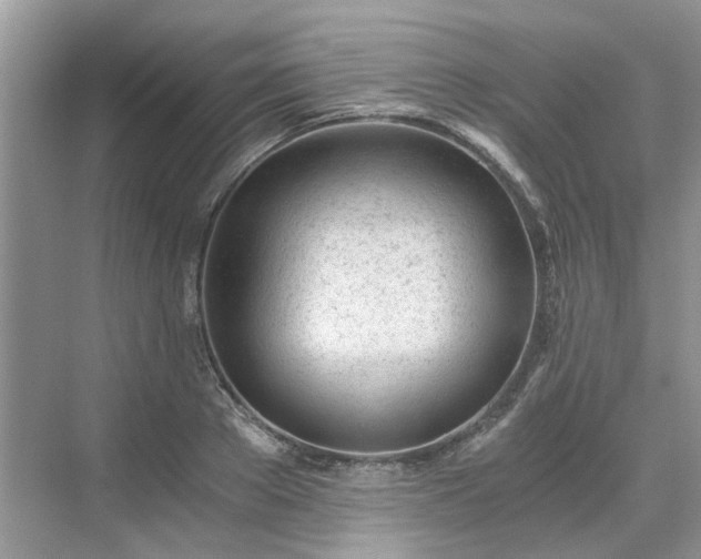 X0000071350889200606301649